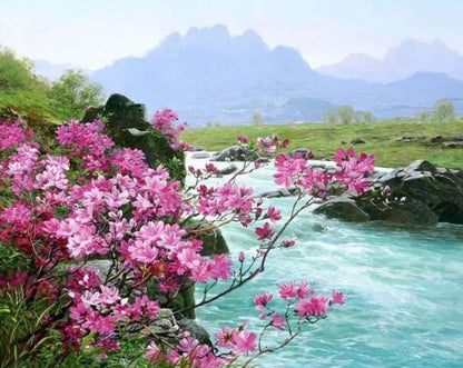 Flowers And Grass By The Stream Digital Painting DIY Paint By Numbers 39